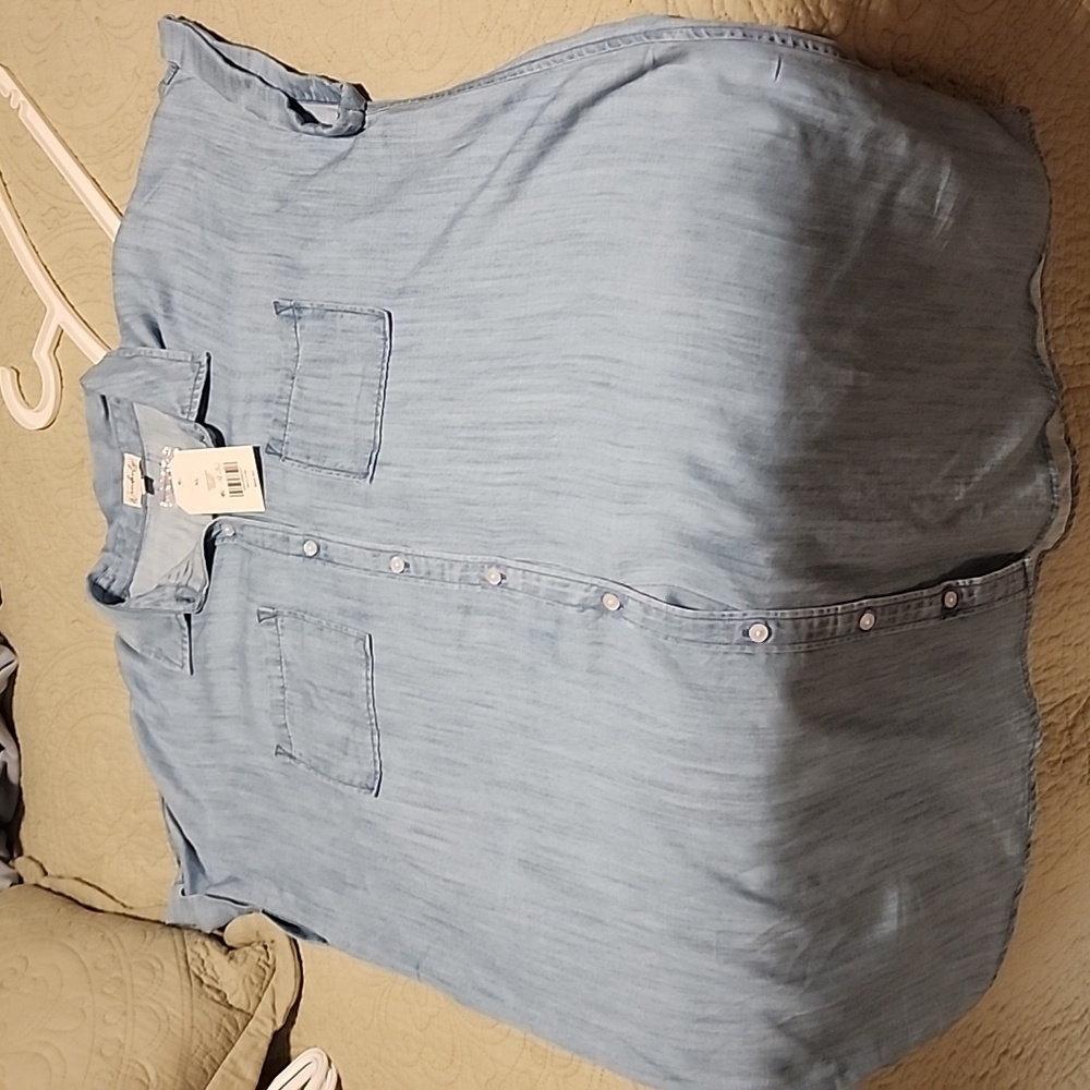 blue Jean shirt dress